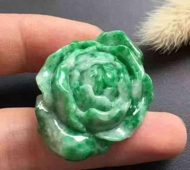 国产翡翠螺养殖方法视频,视频揭秘高效养殖技巧