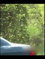 国产热门车测评视频免费,性能与品质的完美融合，揭秘性价比之王