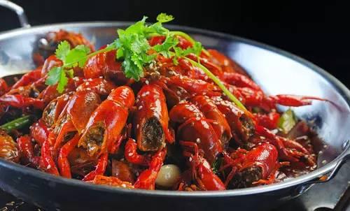 国产龙虾会吸人血么视频,吸人血传闻真相大起底