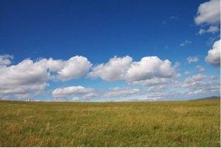 靑青草原国产vip视频